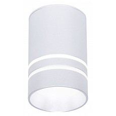 Накладной светильник ambrella light tn tn236